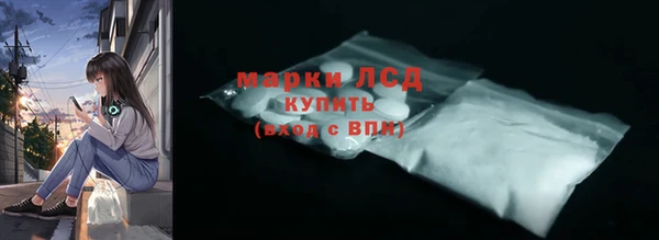 СК Краснослободск