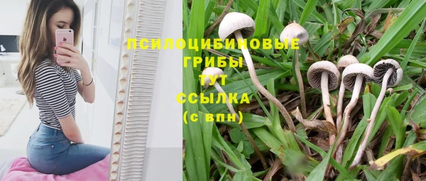 СК Краснослободск