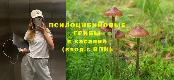СК Краснослободск