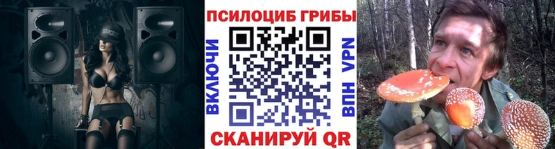 Псилоцибиновые грибы GOLDEN TEACHER  Купить  Бугуруслан 